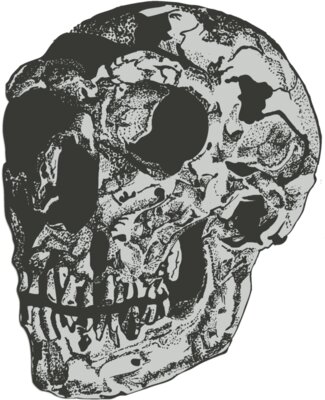 Skull 5