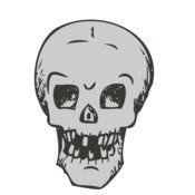 Skull 12