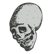 Skull 39