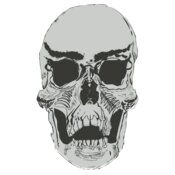 Hand Drawn Skull 11
