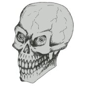Stylized Skull 16