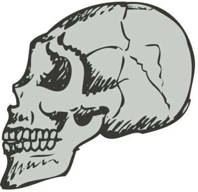 Skull 14