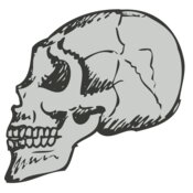 Skull 14