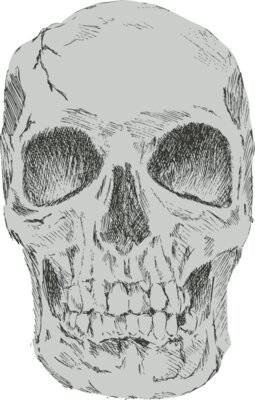 Skulls Hand Drawn 1