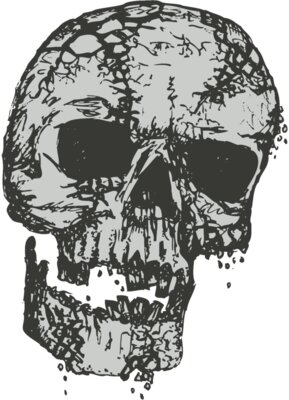 Stylized Skull 8