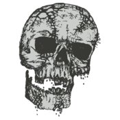 Stylized Skull 8
