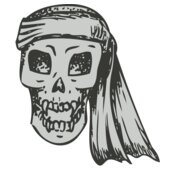 Skull 11