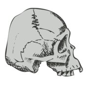 Skull 32