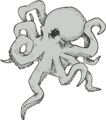 Octopi 9