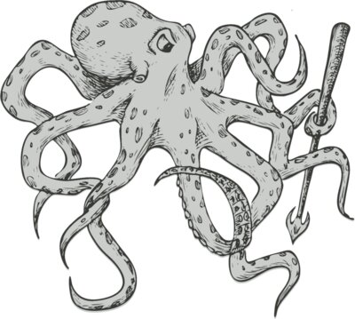 Octopi 7