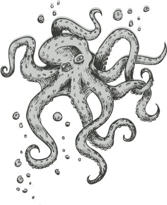 Octopi 8