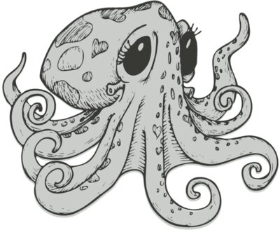 Octopi 6