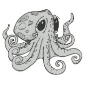 Octopi 6