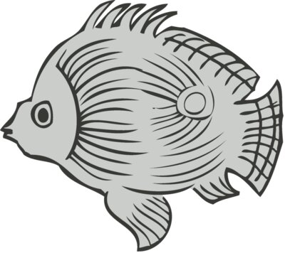 Koi Fish 9