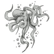 Octopi 2