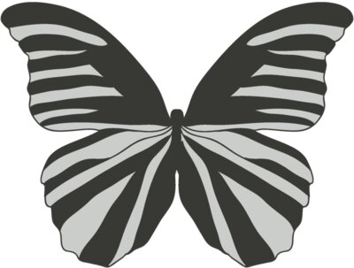 Girly Realistic Butterflies 6
