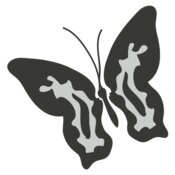 Girly Realistic Butterflies 10