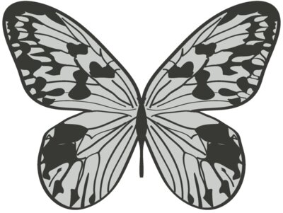 Girly Realistic Butterflies 11