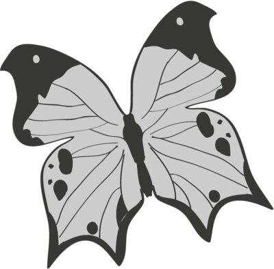 Girly Realistic Butterflies 12