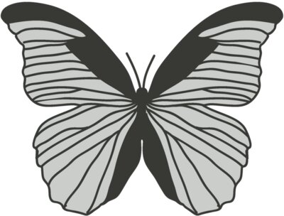 Girly Realistic Butterflies 9