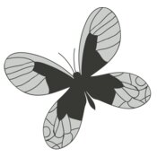 Girly Realistic Butterflies 1