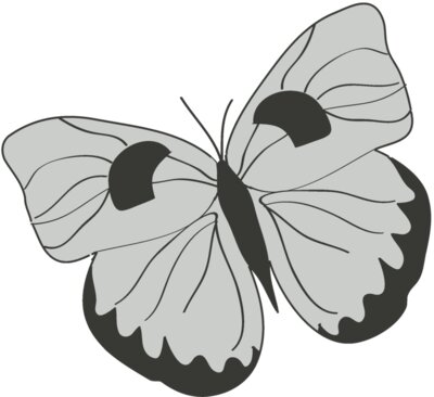 Girly Realistic Butterflies 13