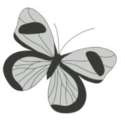 Girly Realistic Butterflies 2