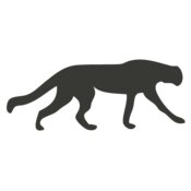 Animal Shilouette   Panther Jaguar