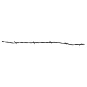 Barbed Wire 5