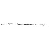 Barbed Wire 9