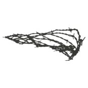 Barbed Wire 67