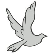 Bird   Dove Stylized