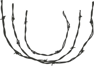 Barbed Wire 71