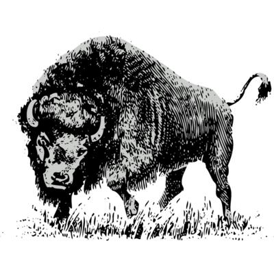 Animals   Bison Buffalo 2 Thumbnail