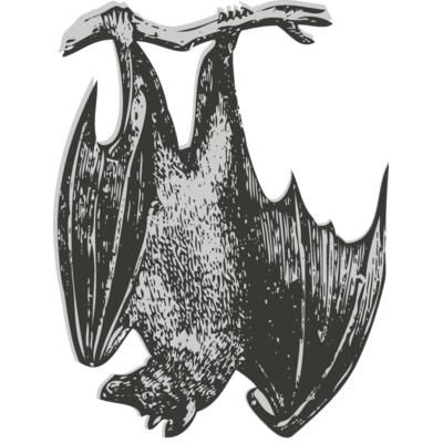 Animals   Bat Thumbnail