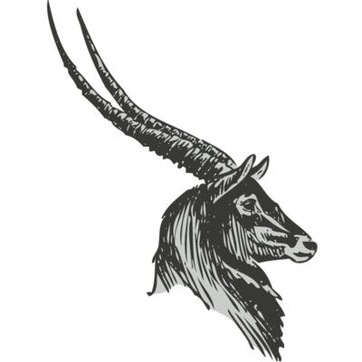 Animals   Antelope 2 Thumbnail